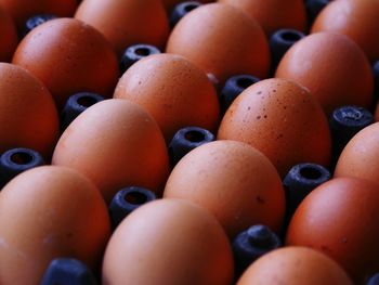 Full frame shot of oranges