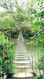 Footbridge in forest