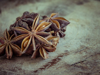 High angle view of dry leaf on table