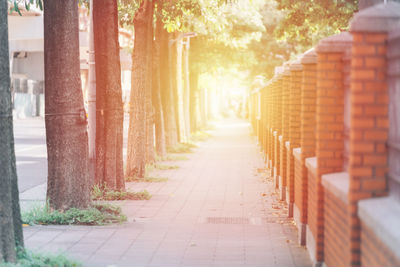 Rear view of man walking in park