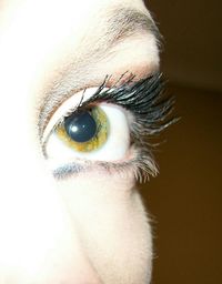 eye