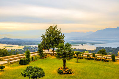 Scenic view of field against sky during sunset