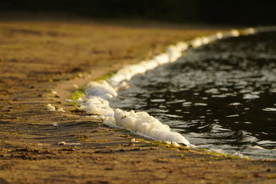 Surface level of road amidst land