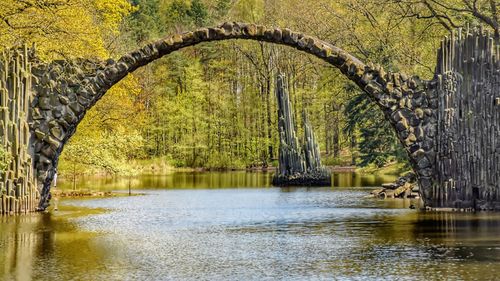 Arch bridge over river in forest