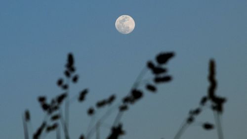 Low angle view of moon against blue sky