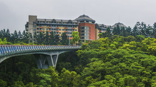 Bridge over tree canopy against sky