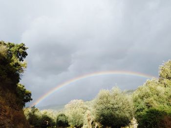 rainbow