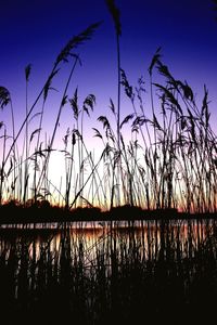 Scenic view of sky at sunset