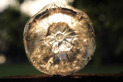 Close-up of illuminated light bulb