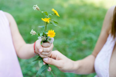 Cropped image of woman holding yellow flowering plant on field