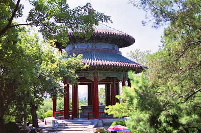 Trees in garden