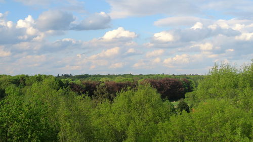 Scenic view of land against sky