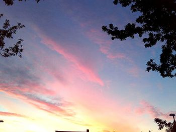 Low angle view of silhouette trees against sky at sunset