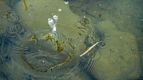 High angle view of rippled water