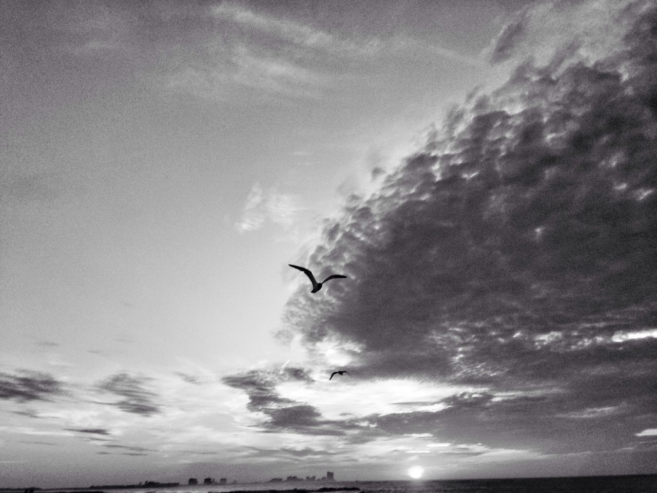 flying, sky, cloud - sky, mid-air, low angle view, cloudy, nature, scenics, cloud, beauty in nature, motion, outdoors, tranquility, weather, tranquil scene, day, no people, sunbeam, overcast, sun, idyllic