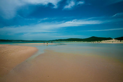 Scenic view of beach against blue sky