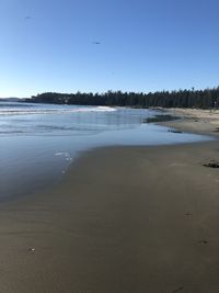 Scenic view of beach against clear sky