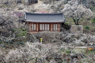 Built structure against trees