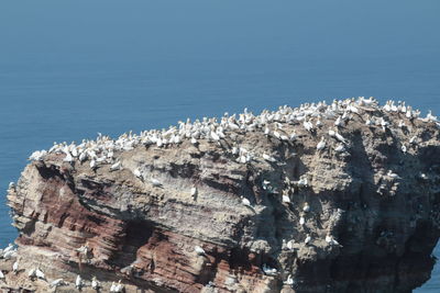 High angle view of rock formations in sea