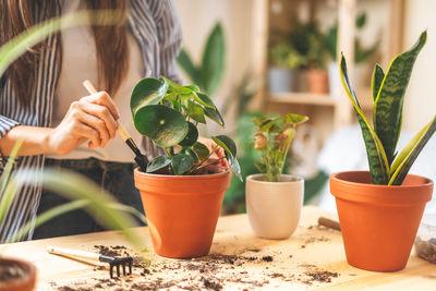 Close-up of hand holding potted plant