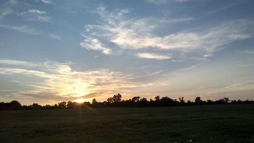 Silhouette trees on field against sky during sunset