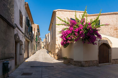 Footpath amidst buildings against sky