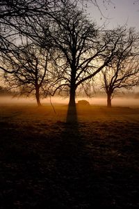 Silhouette bare tree on field against sky during sunset