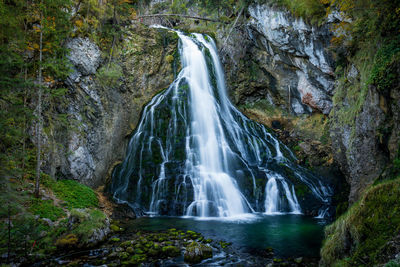 Scenic view of waterfall in forest