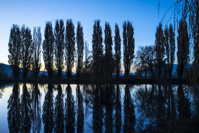 Reflection of trees in lake against sky