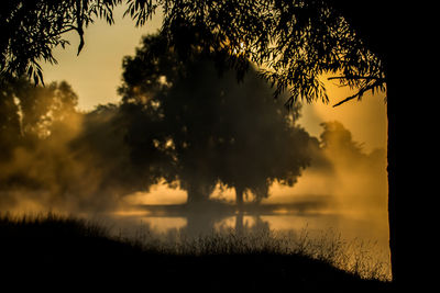 Silhouetted view of trees and lake at dusk