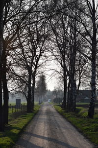 Empty road along bare trees