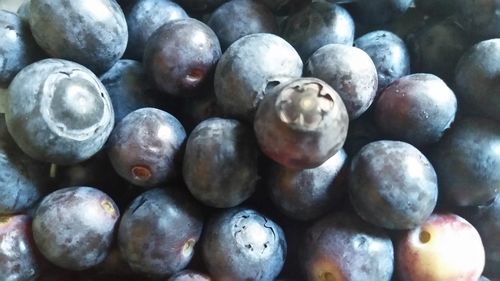 abundance