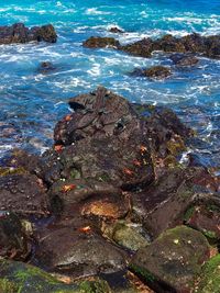 Close-up of rocks in sea against sky