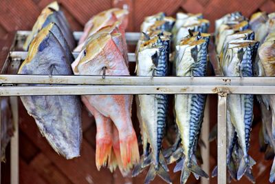 Fresh fish in the smoker