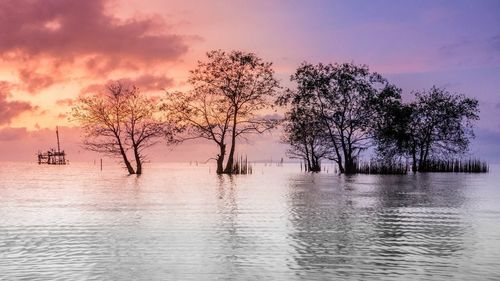 Silhouette trees by lake against sky during sunset