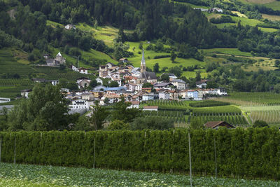 High angle view of trees and houses on field