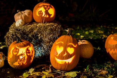 View of pumpkins