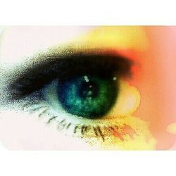 Close-up of human eye