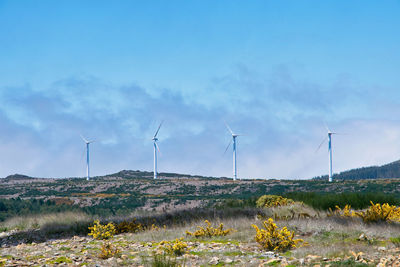 Wind turbines on field against sky