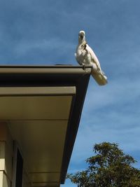 Low angle view of statue against sky