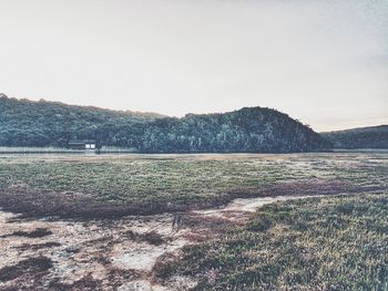 Scenic view of field against clear sky