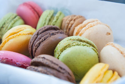 Close-up of multi colored macaroons in a paper plate