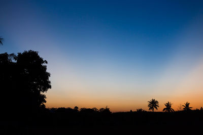 Silhouette trees against clear sky during sunset