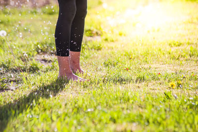 Low section of person standing on field