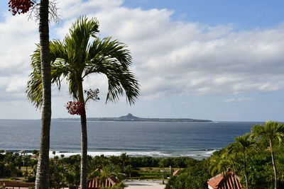 Palm tree by sea against sky