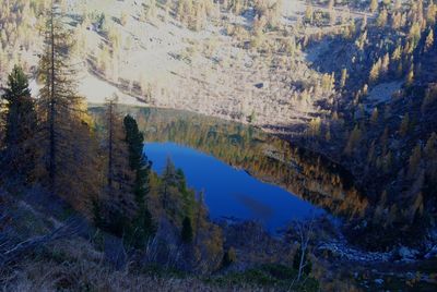 Scenic view of lake and trees