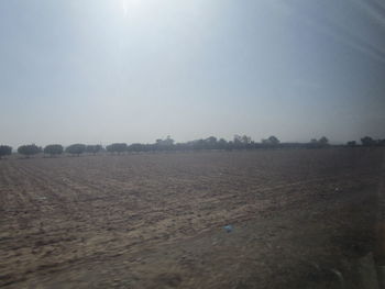 Scenic view of field against clear sky on sunny day