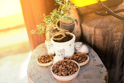 High angle view of coffee beans on table