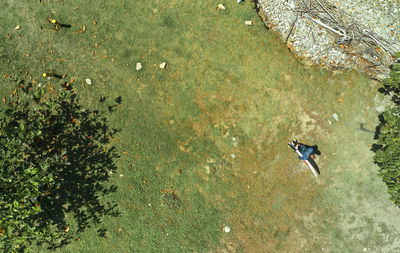 High angle view of man walking on field