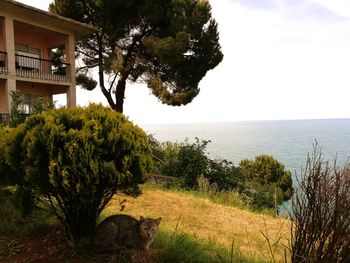 Scenic view of sea against sky